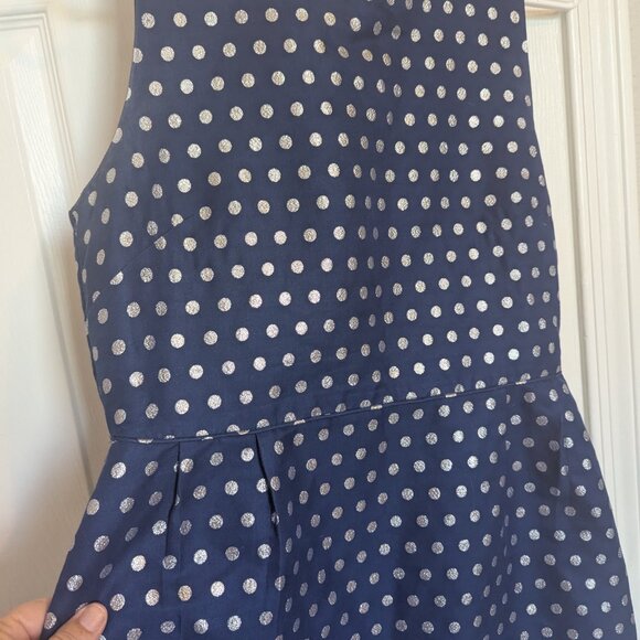 J. Crew Navy and Silver Polka Dot Sheath | 12 | EUC | Silk Cotton Blend! - Picture 3 of 8